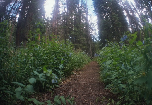 Baker Gulch Trail